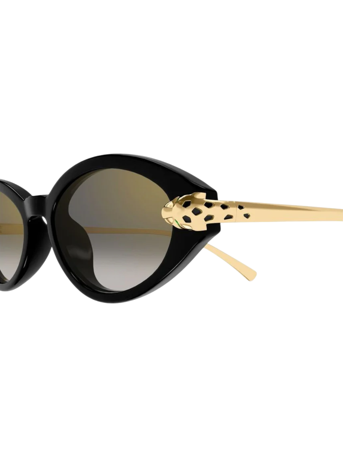 Cartier CT0634S Cat-eye Sunglasses - Detail View