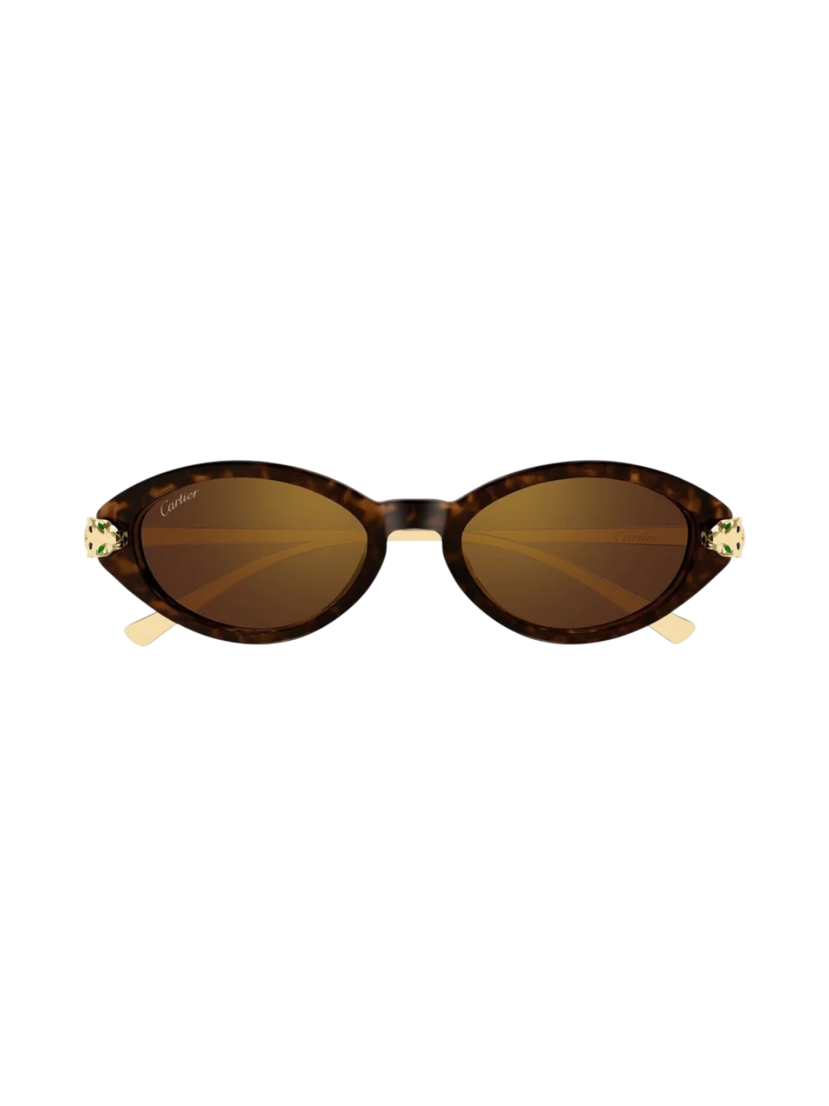 Cartier CT0634S Cat-eye Sunglasses