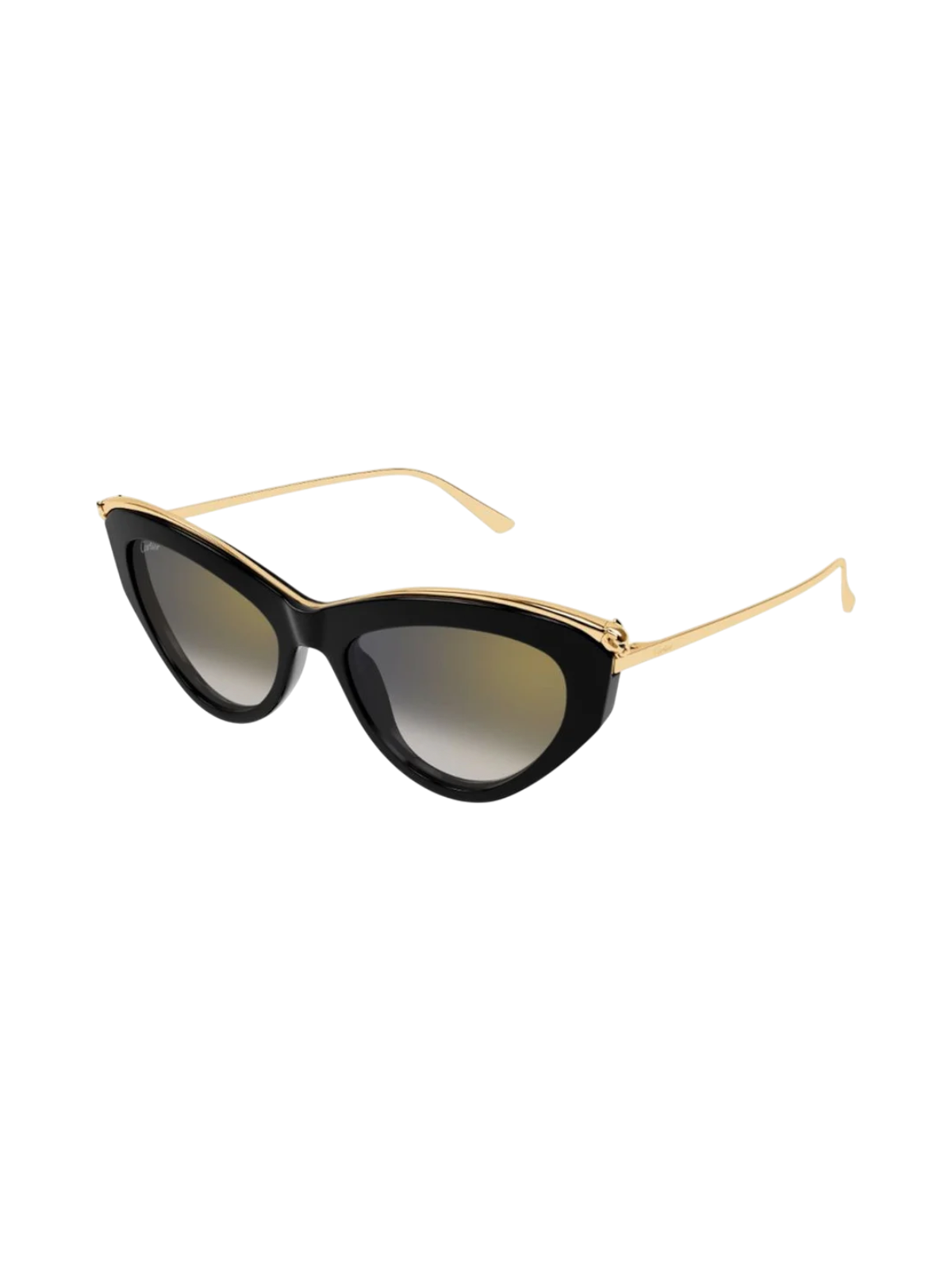 Cartier CT0596S Cat-eye Sunglasses - Side View
