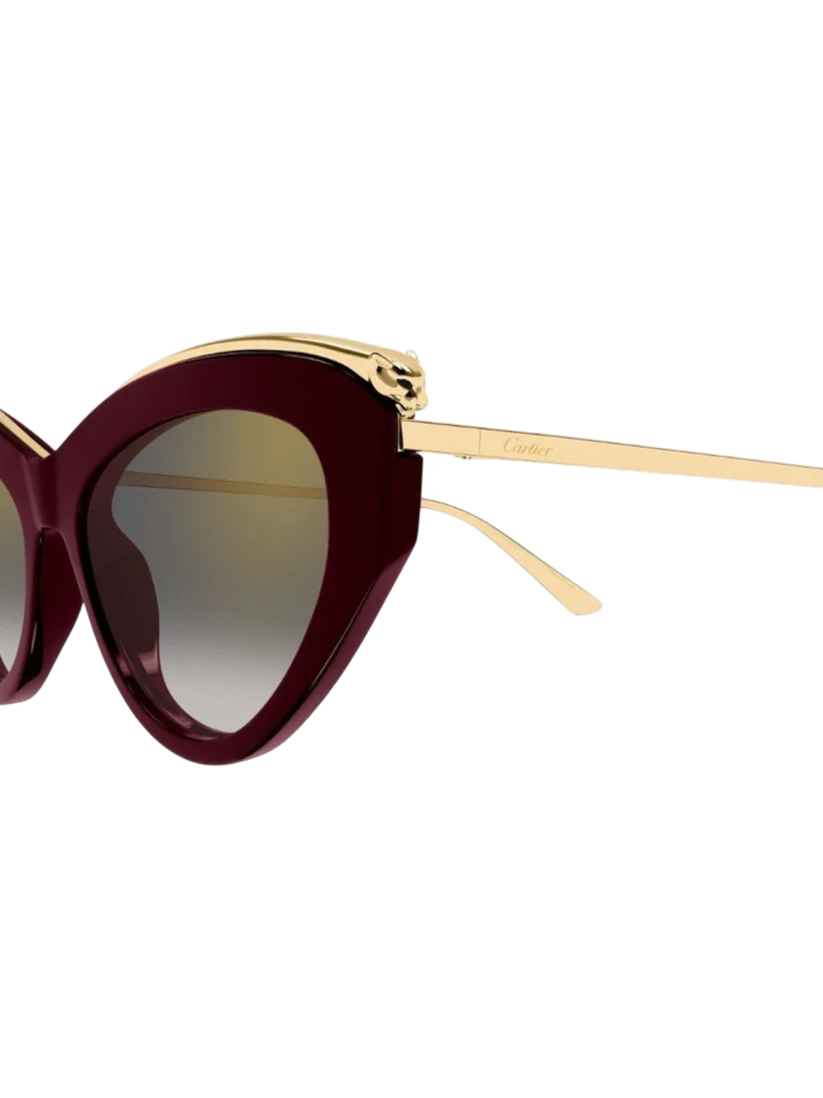 Cartier CT0596S Cat-eye Sunglasses - Detail View