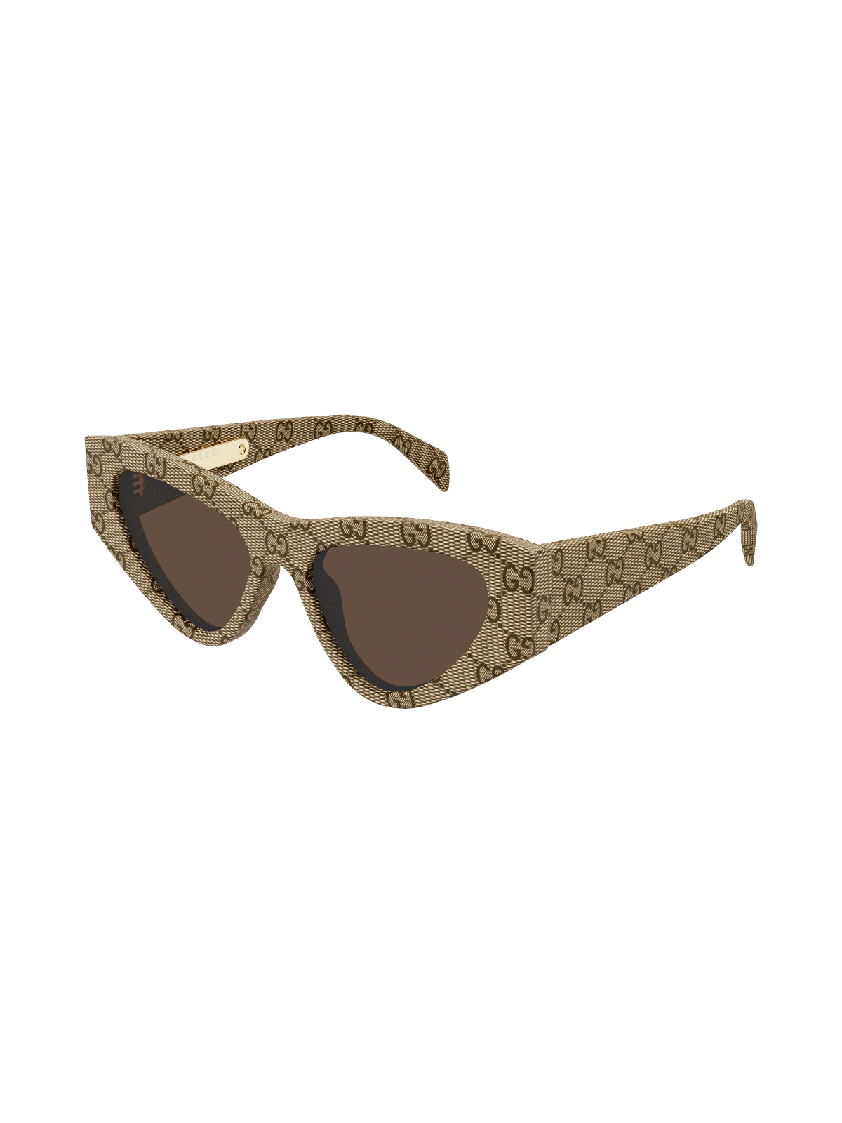 GUCCI GG2019S Cat-eye Sunglasses - Side View