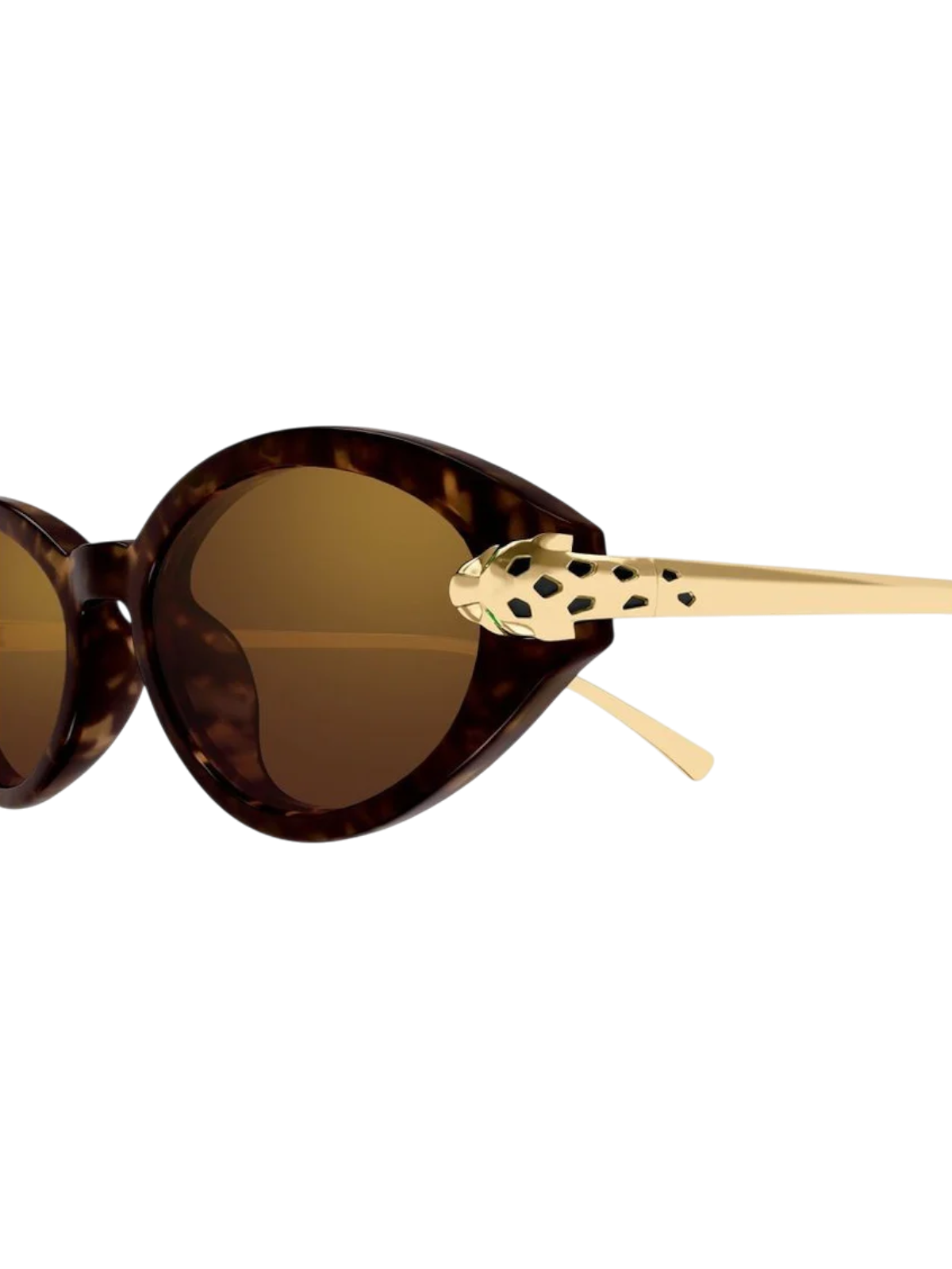 Cartier CT0634S Cat-eye Sunglasses - Detail View