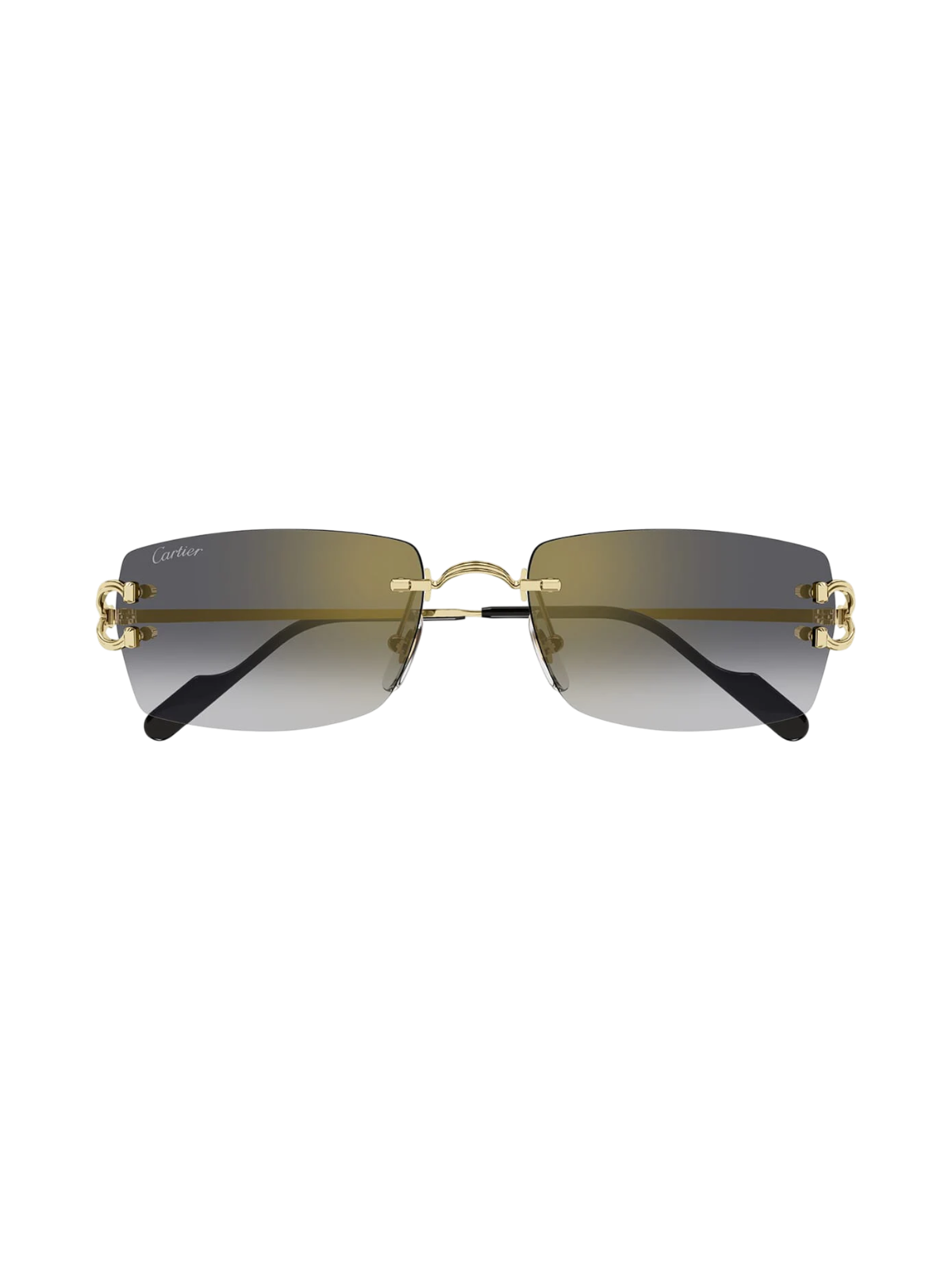 Cartier CT0550S Décor C Rectangle Sunglasses