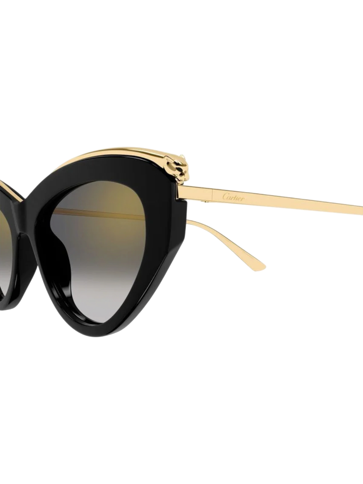 Cartier CT0596S Cat-eye Sunglasses - Detail View