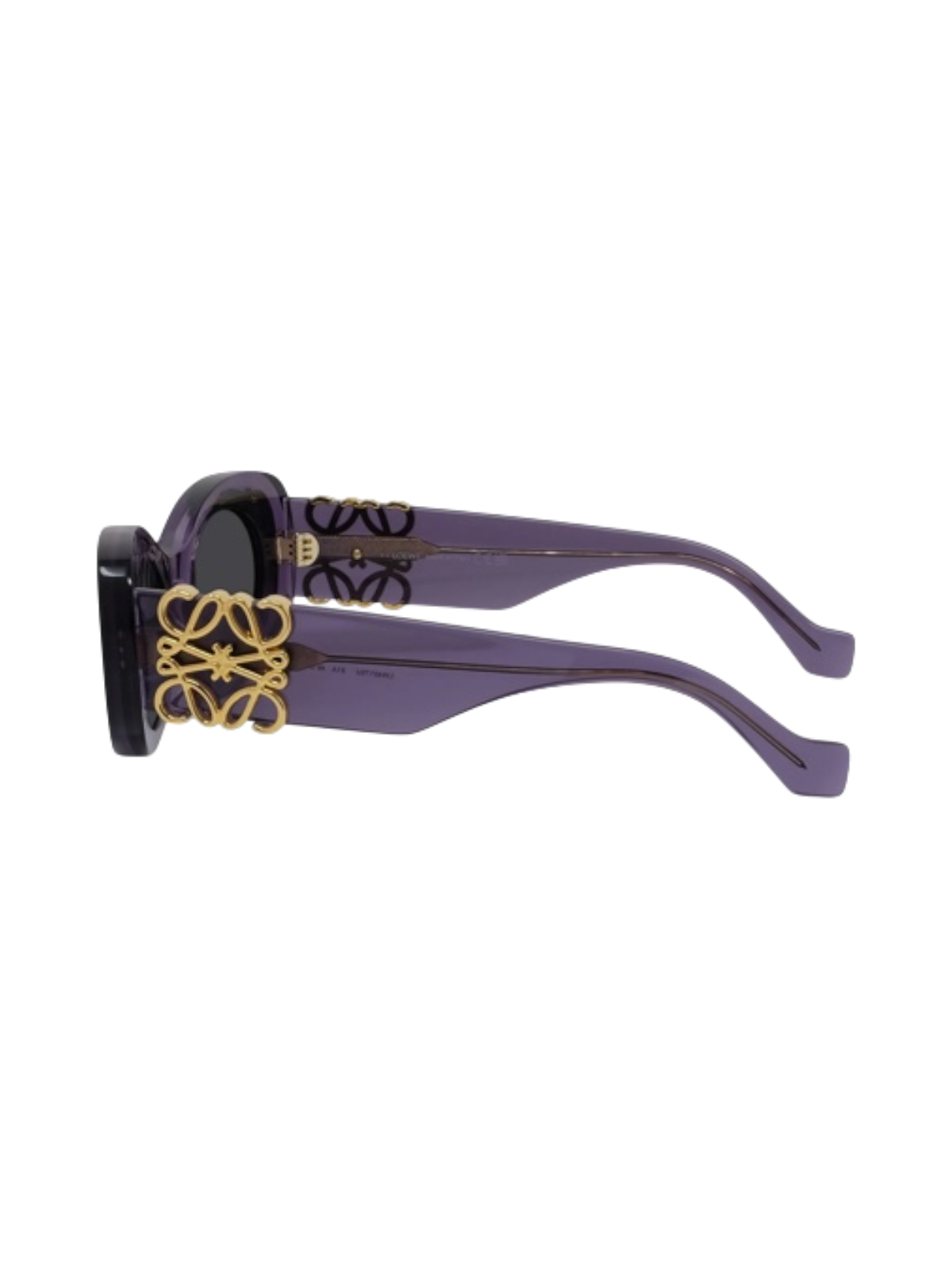 LOEWE LW40175U Oval Sunglasses - Detail View
