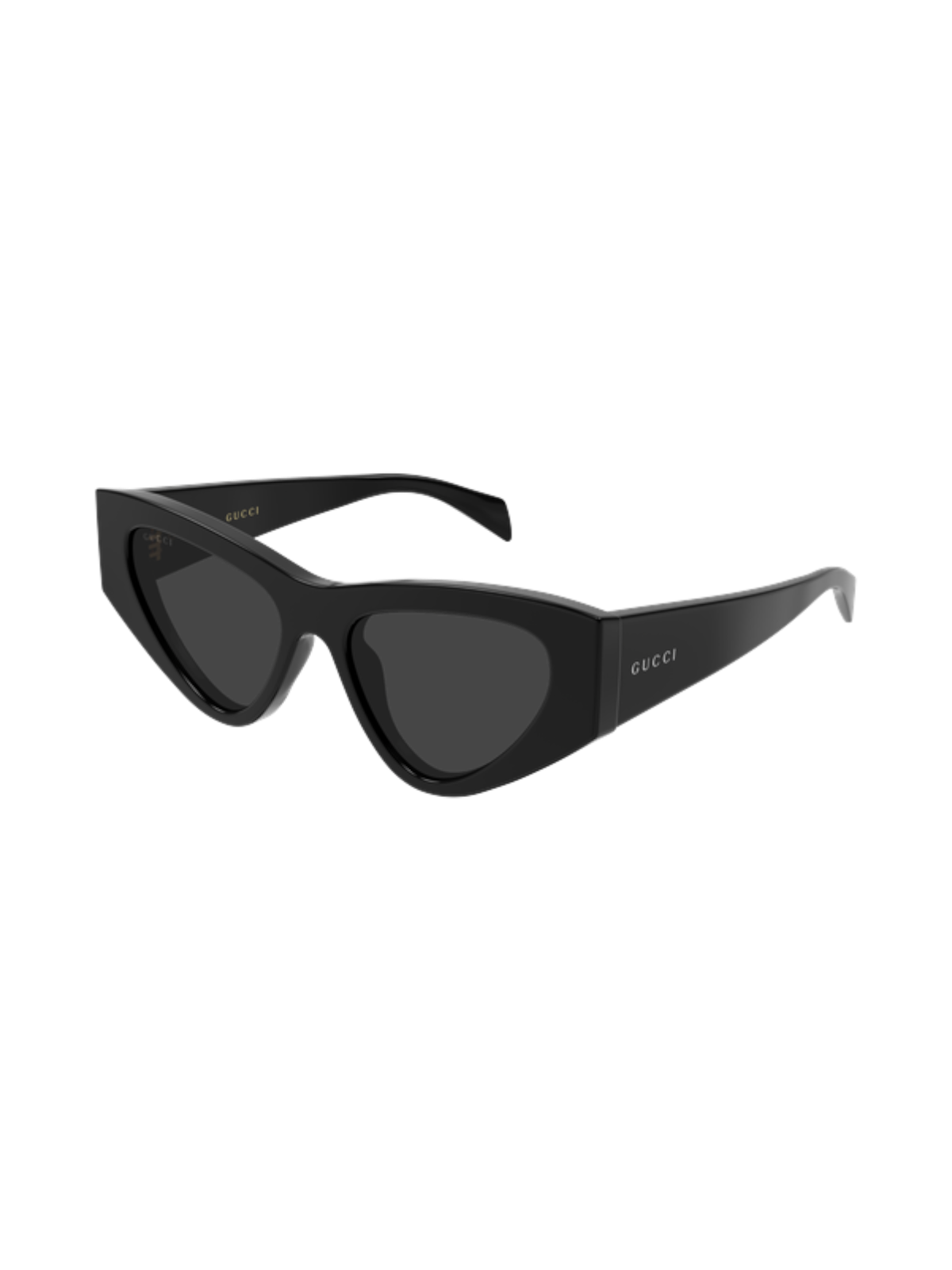 GUCCI GG2019S Cat-eye Sunglasses - Side View